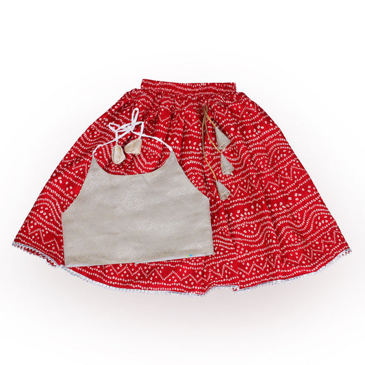 Cute Top & Skirt Set for Girls (2–6 Years)